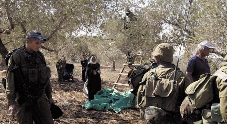 العدو الإسرائيلي يقتحم كفر مالك ونعلين برام الله والبيرة ..ويمنع المزارعين من قطف الزيتون في سعير بالخليل