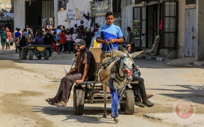 خمسون يوما على استئناف العدوان .. عشرات الشهداء وتدمير منازل شرق غزة وبرفح