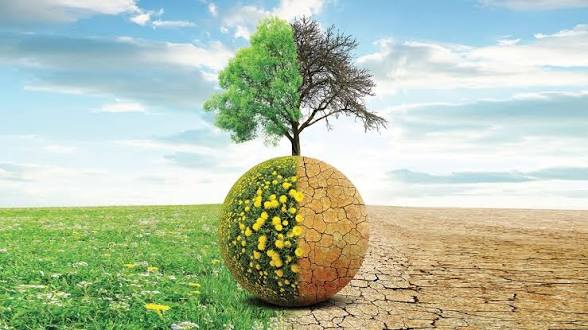 "الفاو" والأرصاد الجوية تحذران: موجة الحر الشديدة تدفع النظم الغذائية العالمية إلى حافة الانهيار