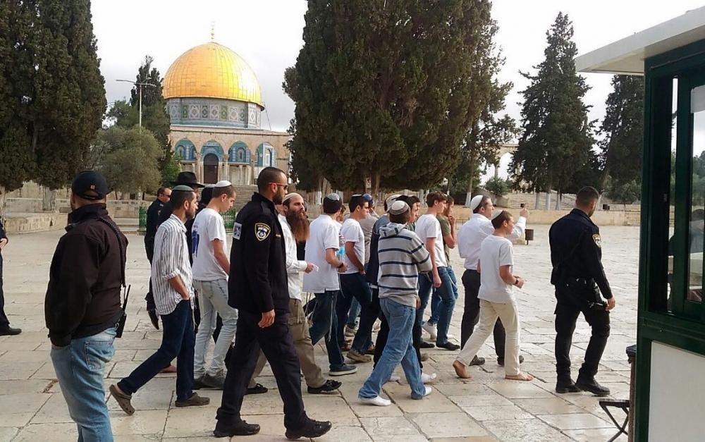 1059 مستوطنًا يقتحمون المسجد الأقصى خلال أسبوع