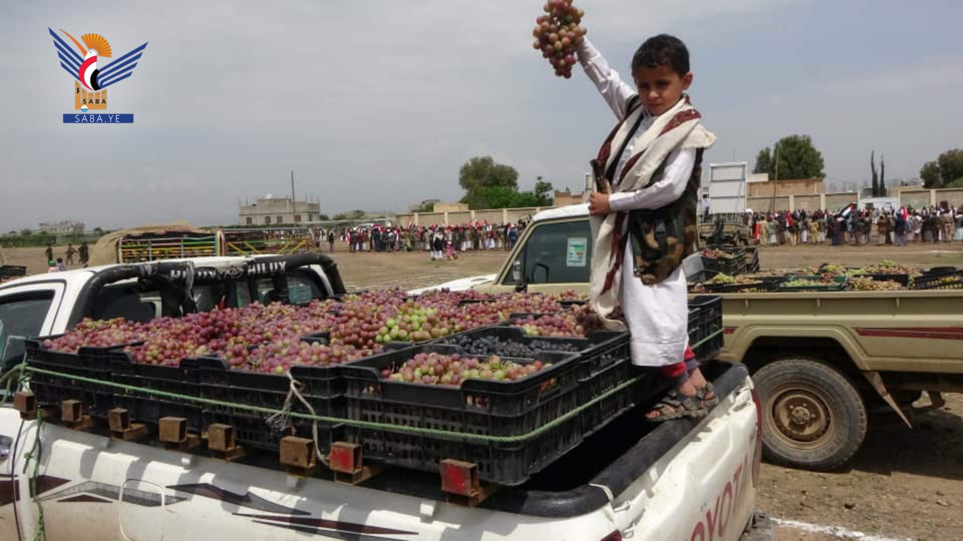 أمانة العاصمة.. قافلة عنب دعماً للمرابطين ووقفة مسلحة نصرة لغزة في مديرية بني الحارث