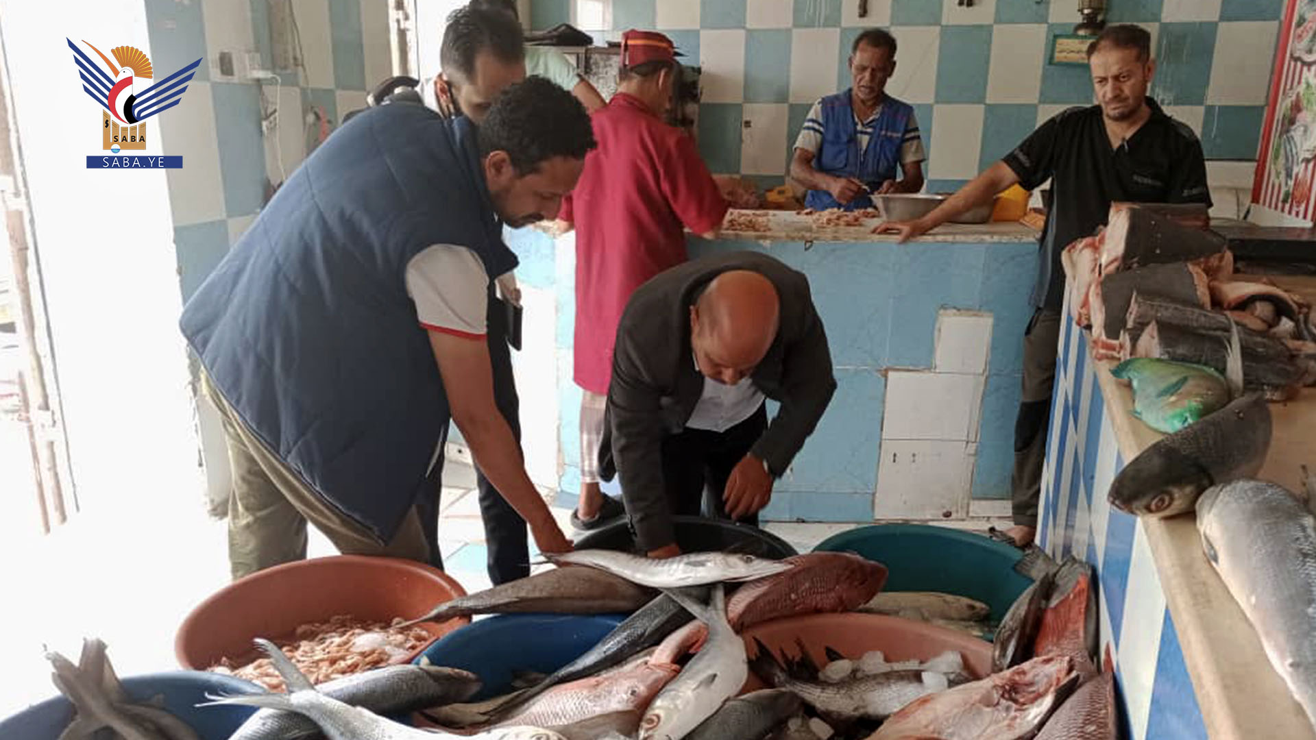 ضبط خمس مخالفات وإتلاف كمية من الأسماك الفاسدة في سوق الجمهوري بصنعاء
