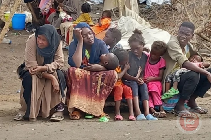 المجلس النرويجي للاجئين:ثلثي النازحين شرق السودان لا يمكنهم الحصول على غذاء