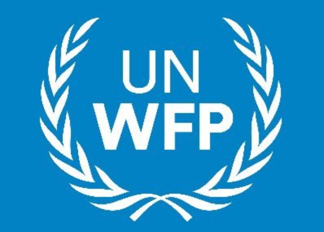  الأغذية العالمي يحذر من تفاقم أزمة الجوع في غزة ويطالب بوقف فوري لإطلاق النار