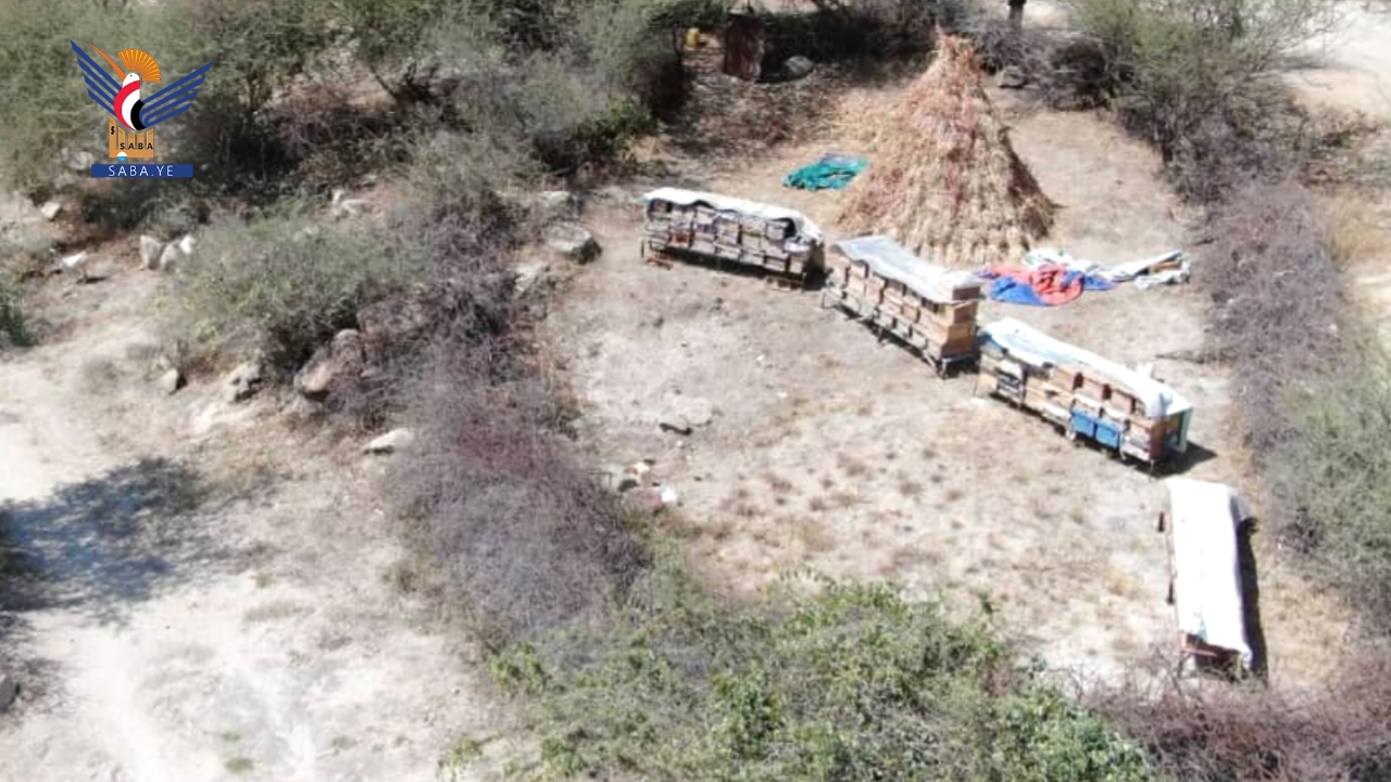 حجة.. زيارة ميدانية إلى محمية بني قيس النحلية المجتمعية وتدشين إنتاج عسل السدر