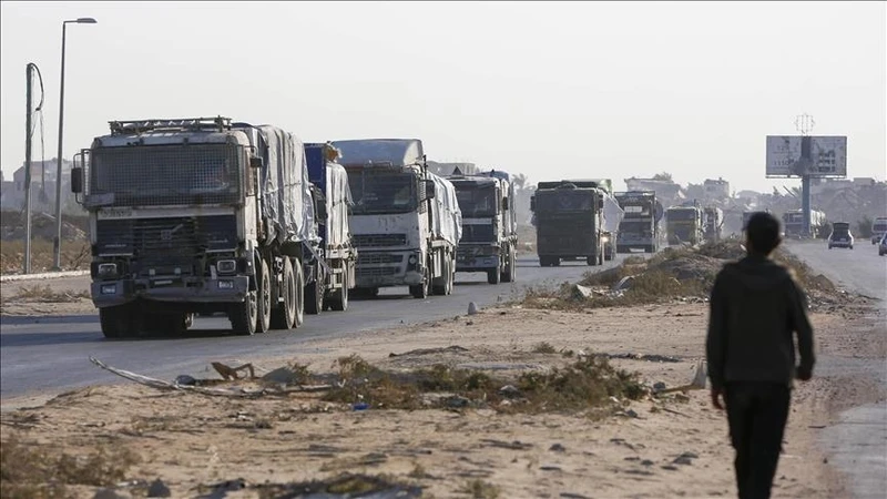 مدير "حكومي غزة": العدو الإسرائيلي يدخل 200 شاحنة مساعدات بدلا من 600 متفق عليها