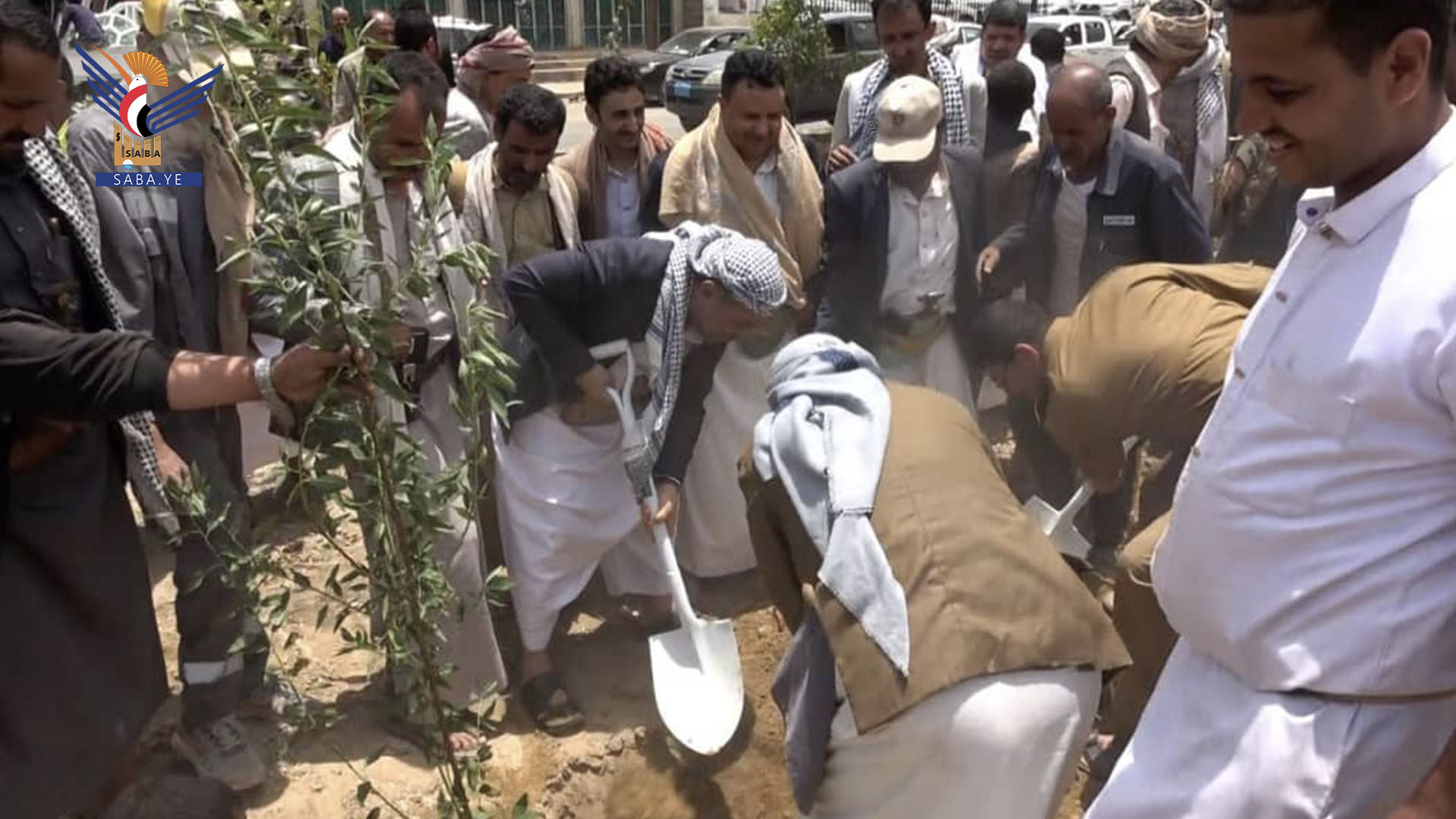 تدشين زراعة ألفي شجرة مثمرة في الجزر الوسطية بمدينة عمران 