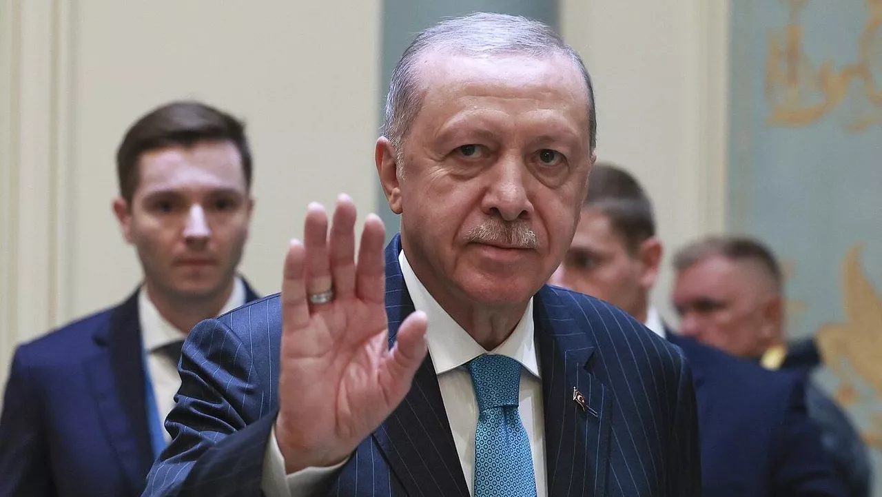 الرئيس التركي: أنقرة تبذل جهودا لإنجاح مسار السلام بين روسيا وأوكرانيا
