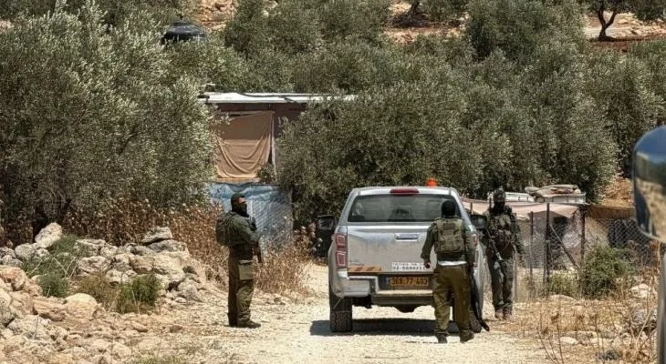 العدو الإسرائيلي يعيق قطف الزيتون في كفر الديك غرب سلفيت