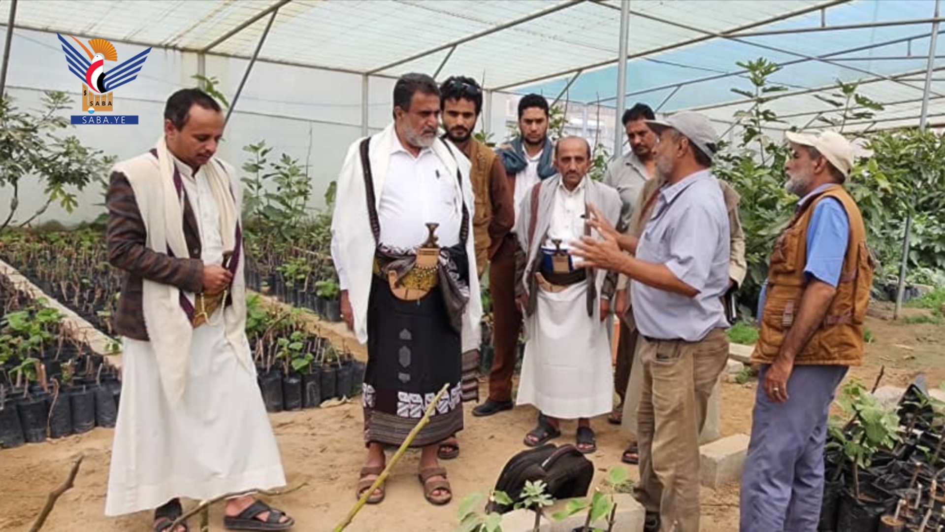 محافظ البيضاء يطلع على نشاط المشتل الزراعي المركزي وخطته لغرس أشجار مثمرة