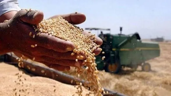 الزراعة العراقية تعلن تحقيق الاكتفاء الذاتي من بذور الحنطة