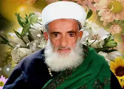 العالم الرباني السيد بدر الدين الحوثي.. مسيرة حافلة بالعطاء الفكري والجهاد الإيماني