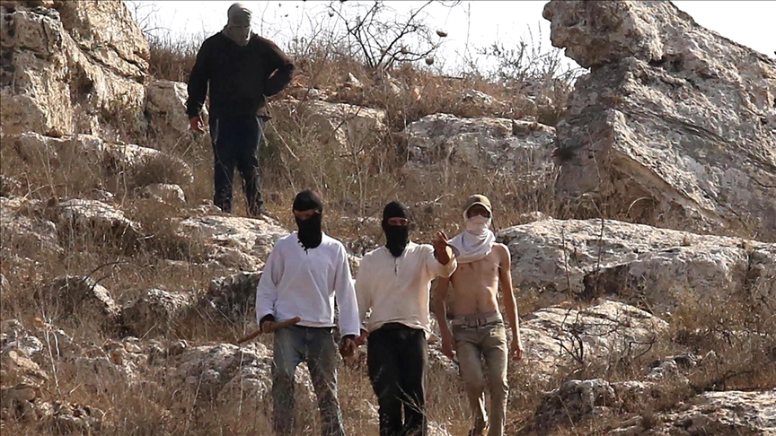 إصابة خمسة فلسطينيين في شرق رام الله وشمال نابلس إثر اعتداءات من مستوطنين