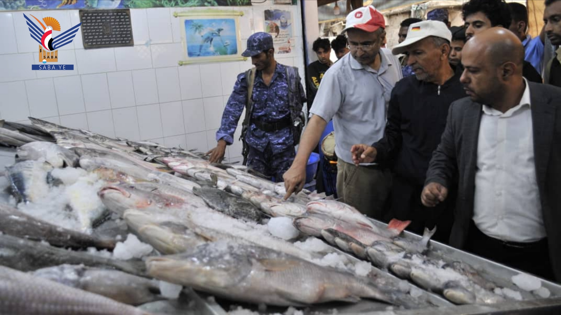 مصادرة نصف طن أسماك غير صالحة للاستخدام الآدمي بسوق البليلي بأمانة العاصمة