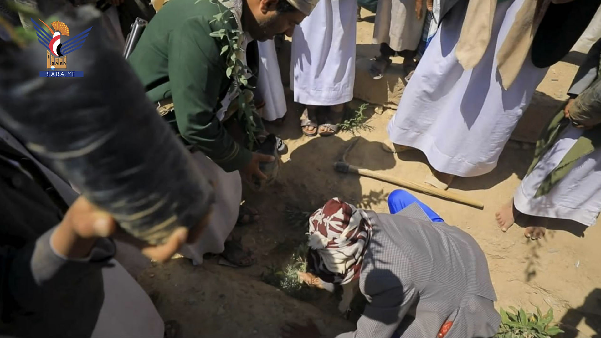 تدشين زراعة شتلات شجرة اللوز بالمدارس الصيفية في سحار بصعدة