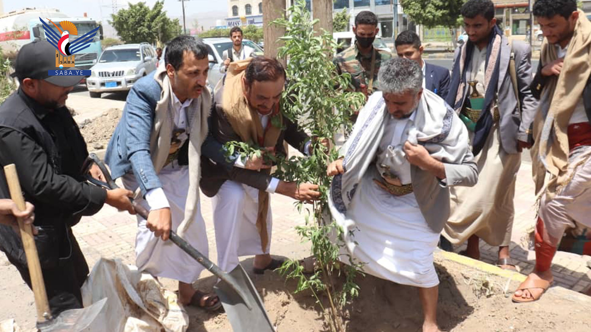أمانة العاصمة.. زراعة أشجار مثمرة في مديريتي الثورة والوحدة 