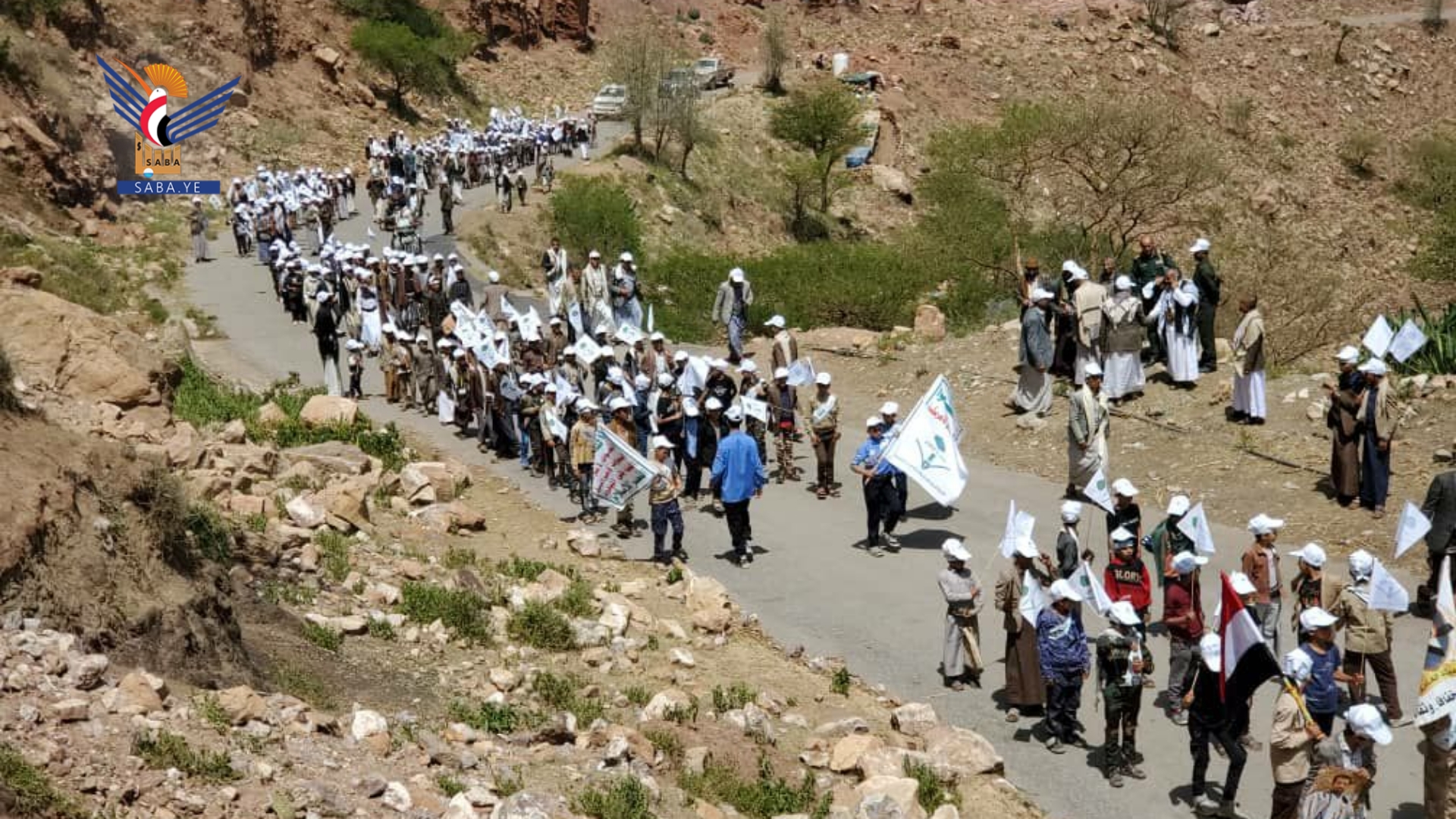 حجة.. عروض كشفية وفعاليات لطلاب الدورات الصيفية في المديريات 
