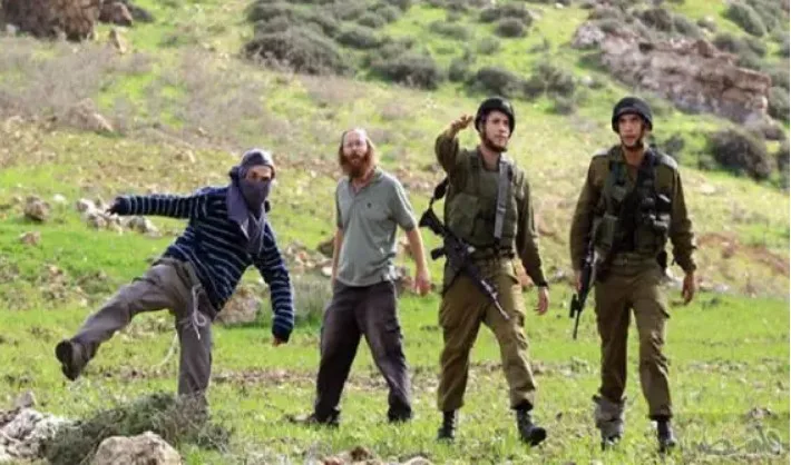 المستوطنون الصهاينة يصعّدون اعتداءاتهم على الفلسطينيين في الضفة والقدس