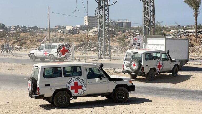 مركز فلسطيني: تسليم صناديق تضم أشلاء يثير مخاوف من العبث بالجثامين وسرقة الأعضاء