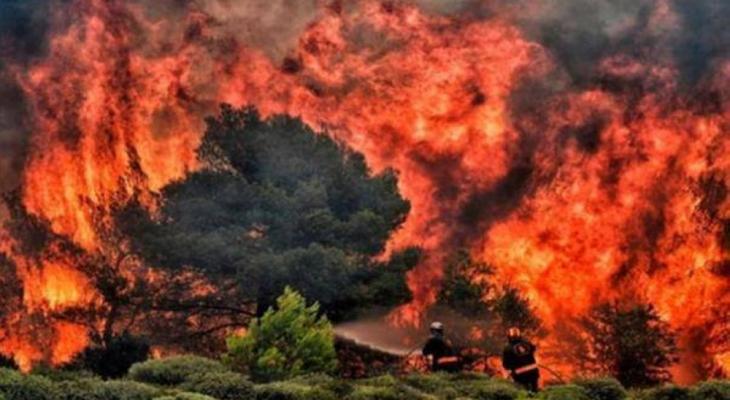 اليابان : استمرار حرائق الغابات في مدينة "أوفوناتو" لليوم الخامس