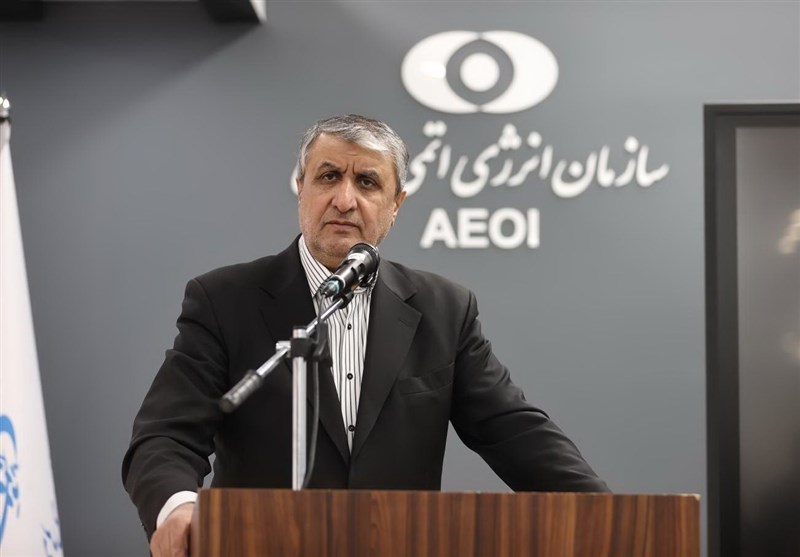 إسلامي: يجب أن تتعامل الوكالة الدولية مهنيًا