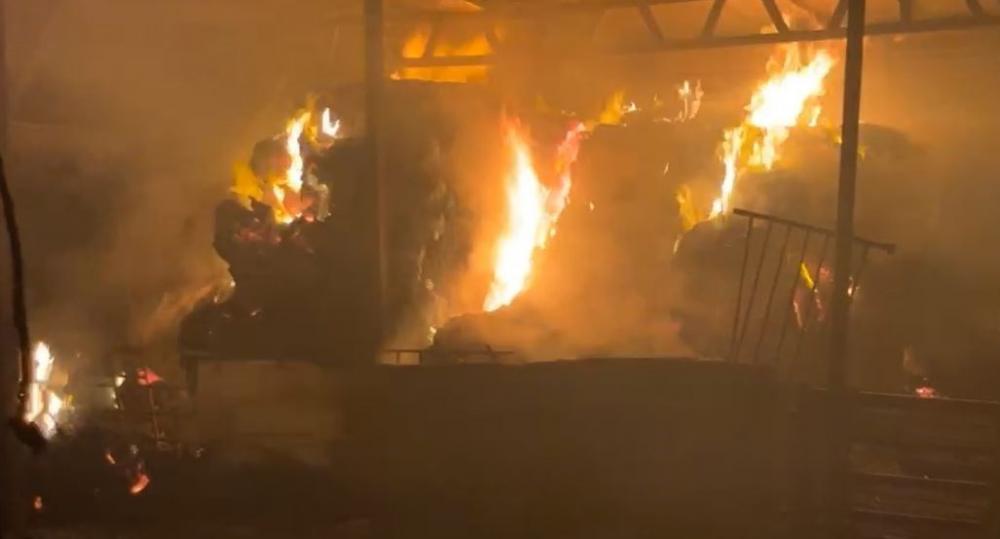 المستوطنون يحرقون خيامًا ويعتدون على ممتلكات الفلسطينيين بالضفة