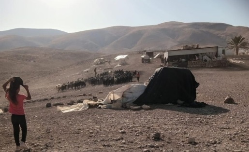 مستوطنون يعتدون على ممتلكات الفلسطينيين في شلال العوجا شمال أريحا