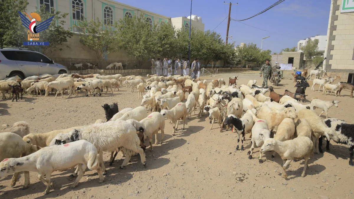 صعدة تسير قافلة "النصر الثالثة" للمرابطين في جبهات العزة والكرامة