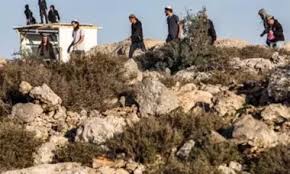 مستوطنون يقطعون خطوط مياه في تجمع العوجا شمال أريحا