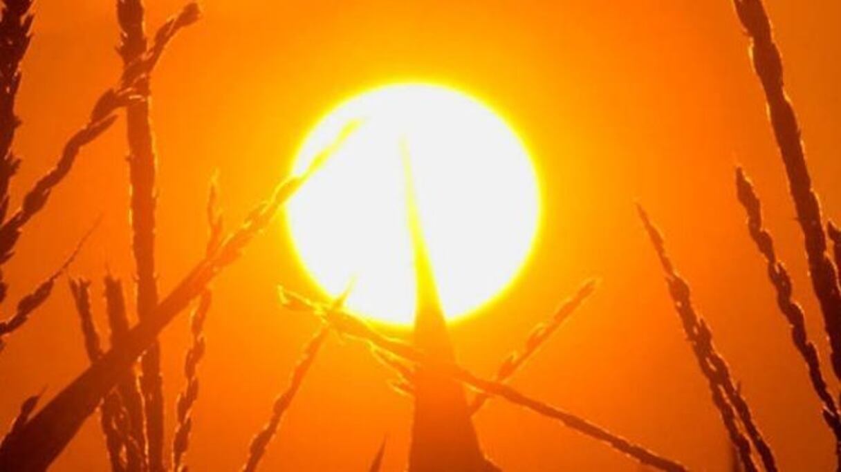 دراسة: نصف سكان العالم تعرضوا لشهر إضافي من الحر الشديد بسبب التغير المناخي دراسة: نصف سكان العالم تعرضوا لشهر إضافي من الحر الشديد بسبب التغير المناخي