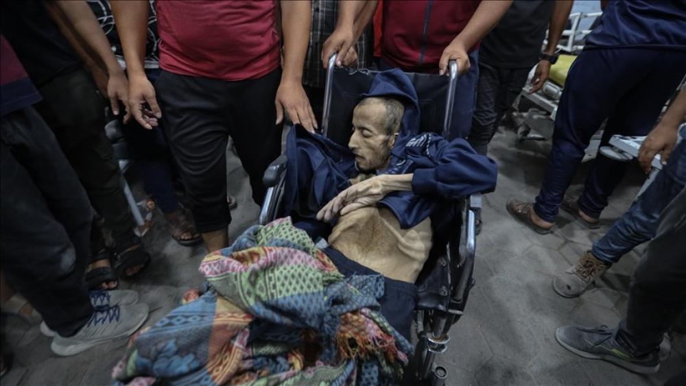 مثقفون وحقوقيون مغاربة يطالبون بإجبار العدو الصهيوني على وقف تجويع غزة مثقفون وحقوقيون مغاربة يطالبون بإجبار العدو الصهيوني على وقف تجويع غزة