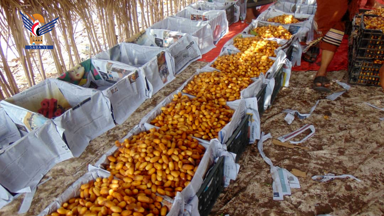 مهرجان شعبي في الجاح بمديرية بيت الفقيه احتفاءً بموسم التمور للعام 1447هـ