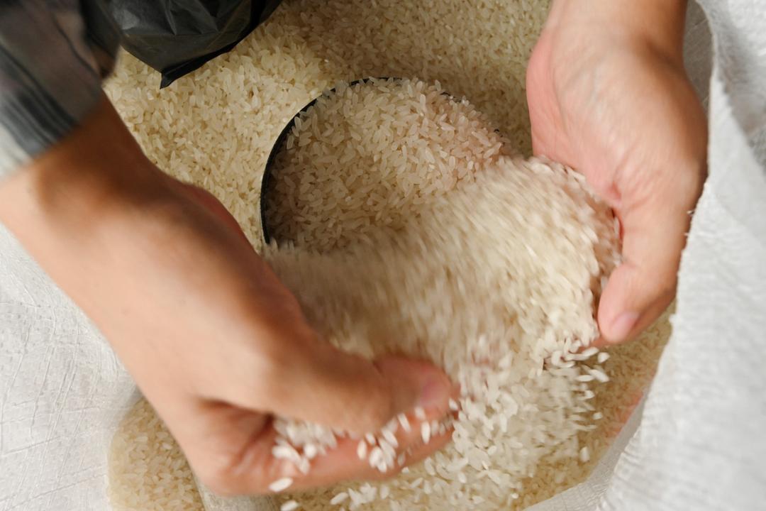 أسعار الأرز تهبط لأدنى مستوياتها منذ ثمان سنوات بعد حصاد قياسي