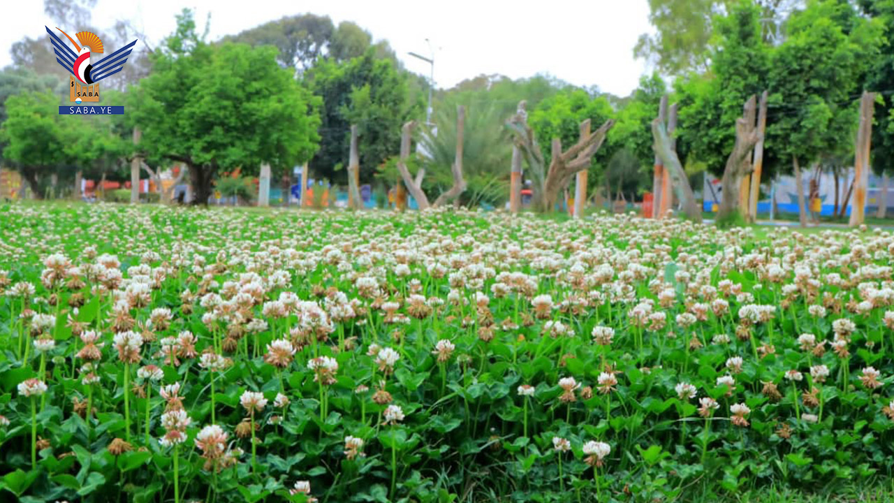 أمانة العاصمة تؤكد جاهزية 66 حديقة عامة لاستقبال الزوار في عيد الفطر