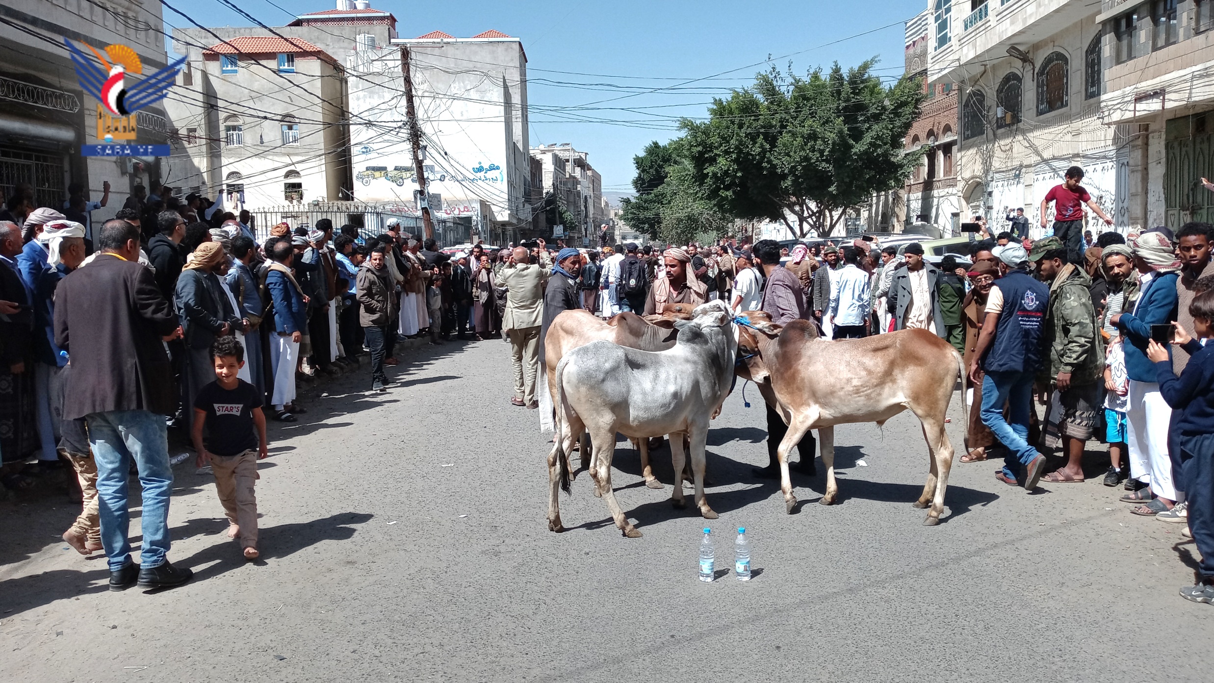 صلح قبلي ينهي قضية قتل بين آل الحسني من المحويت وآل الحكيمي من تعز صلح قبلي ينهي قضية قتل بين آل الحسني من المحويت وآل الحكيمي من تعز