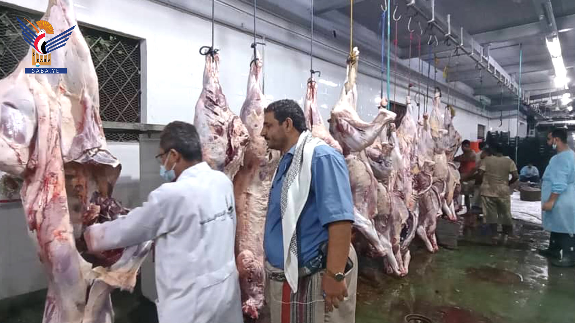 الحديدة.. ترتيبات للرقابة الصحية على الأضاحي وحماية الثروة الحيوانية