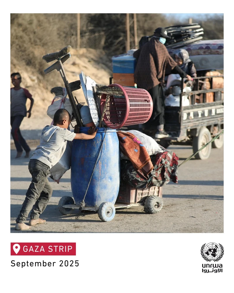 "أونروا": استمرار النزوح الجماعي في قطاع غزة وسط ظروف مأساوية