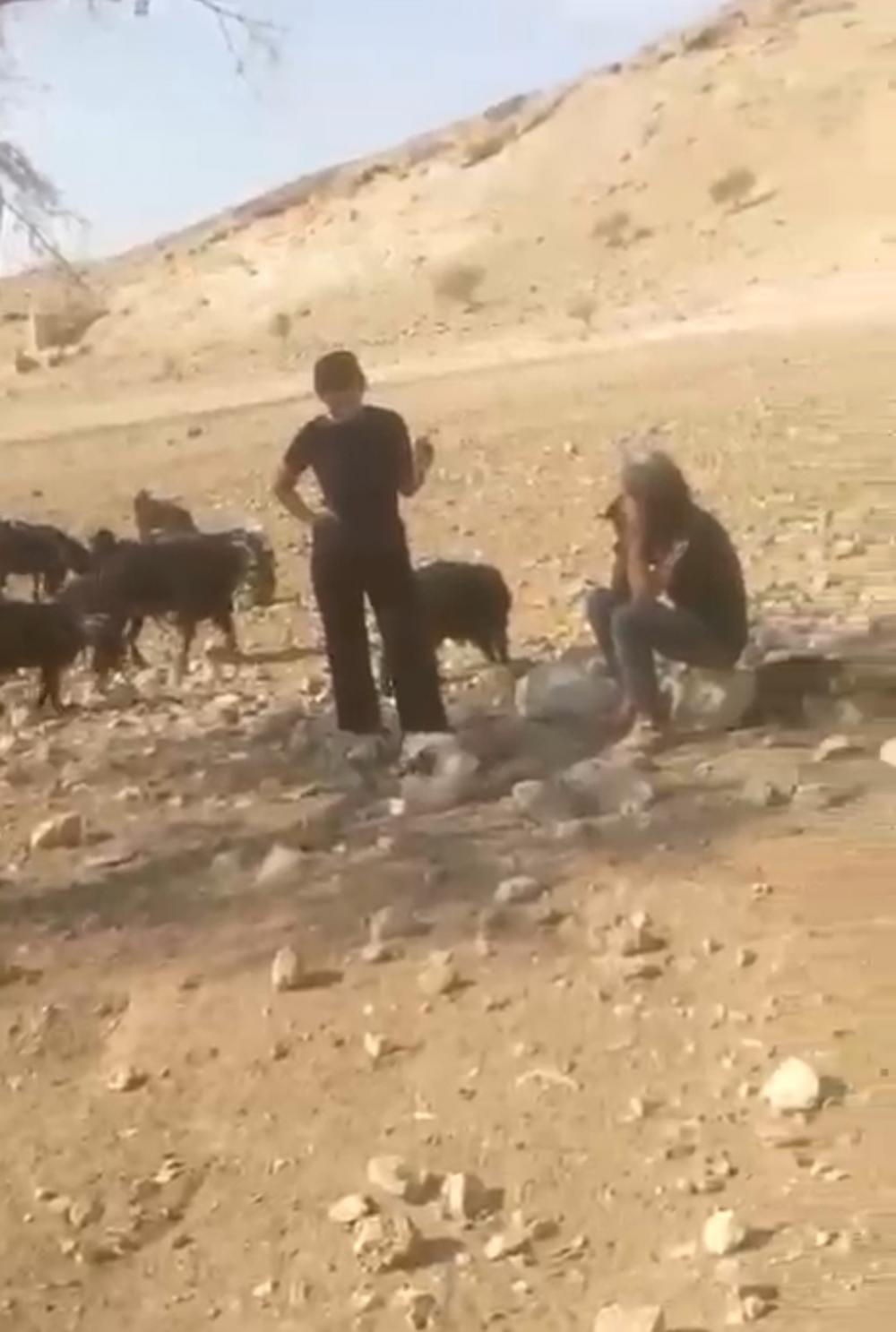 منظمة "البيدر": سكان شلال العوجا يتعرضون يوميًا لاعتداءات المستوطنين