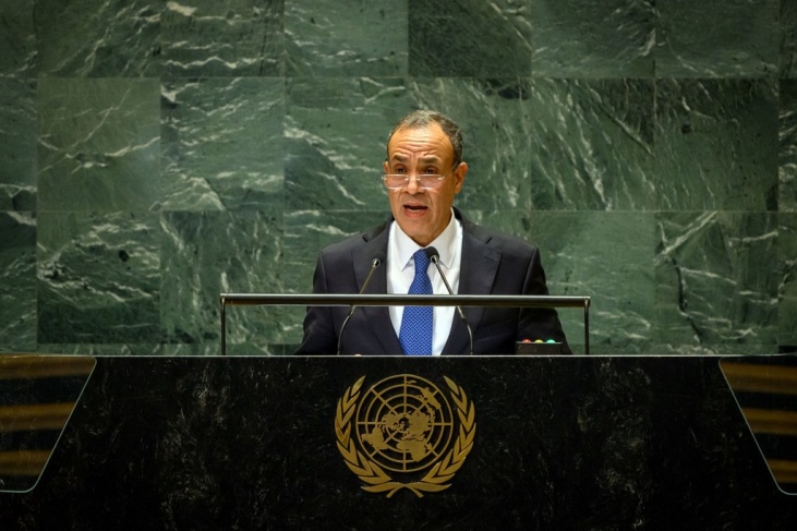 وزير الخارجية المصري: مصر لن تشارك في نكبة جديدة للفلسطينيين