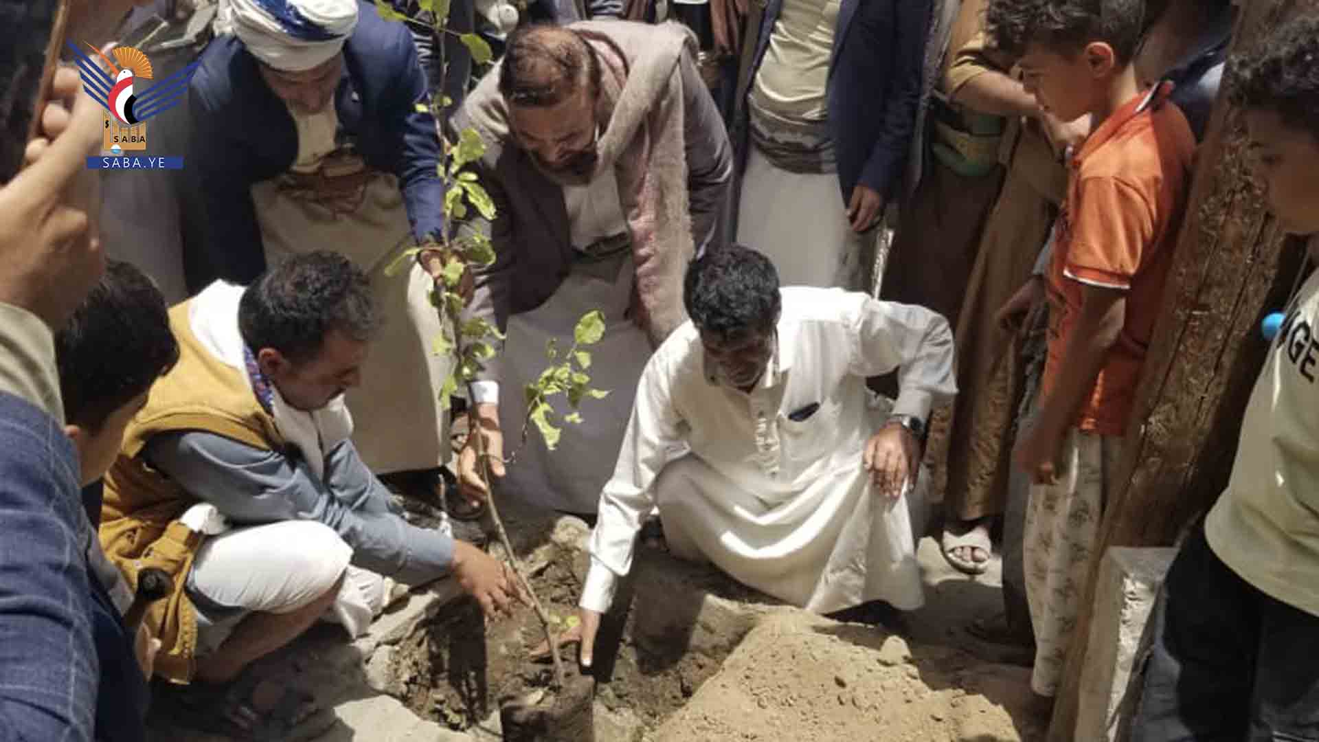 أمين العاصمة يطلع على مبادرة لزراعة الأشجار وحملة لإزالة العشوائيات بمديرية الثورة