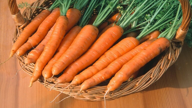 متى اكتسب الجزر لونه البرتقالي؟ متى اكتسب الجزر لونه البرتقالي؟