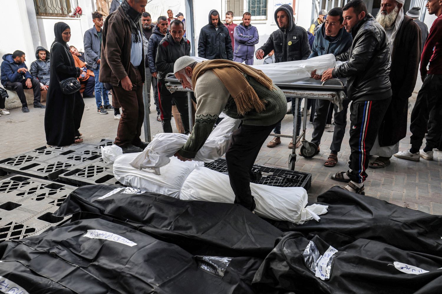 ارتفاع شهداء العدوان على غزة لـ 36479 شهيد