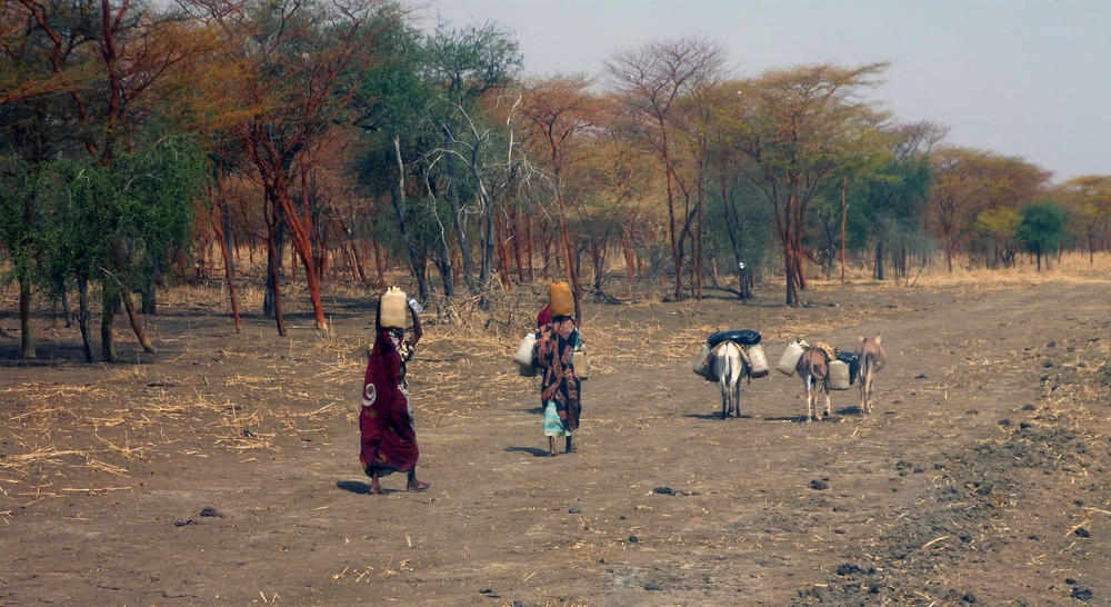 البنك الدولي :39 دولة تعاني أوضاع هشة مع تنامي الصراعات