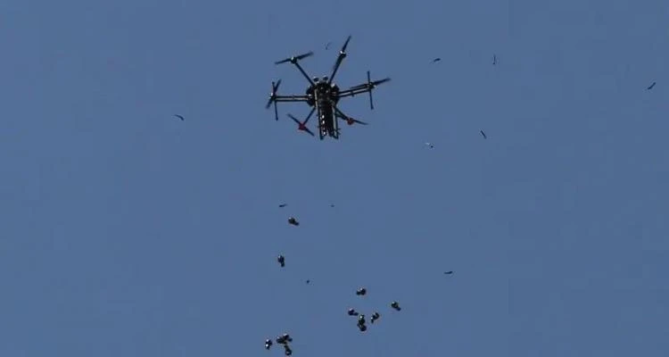 مركز لحقوق الإنسان: رصدنا 36 انتهاكًا "إسرائيليًا" لوقف إطلاق النار في غزة