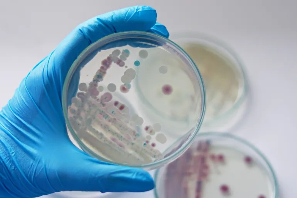 الصحة العالمية تحذر من ارتفاع نسب مقاومة الميكروبات للمضادات الحيوية