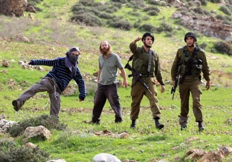 "أوتشا": عنف المستوطنين الصهاينة بالضفة الغربية في تزايد