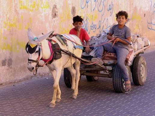 أطفال غزة بين ركام المدارس وأعباء العمل.. أحلام تُدفن تحت الحرب