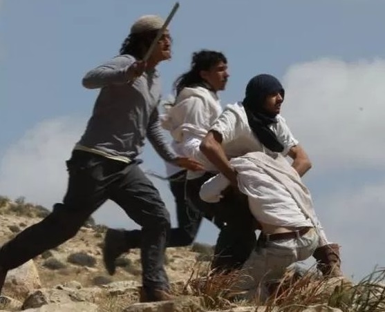 مستوطنون صهاينة يعتدون على مواطنة فلسطينية ونجلها في المنيا شرق بيت لحم