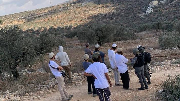 اعتداءات للمستوطنين في منطقة البلقاء شمال أريحا وبلدة بيتا جنوب نابلس