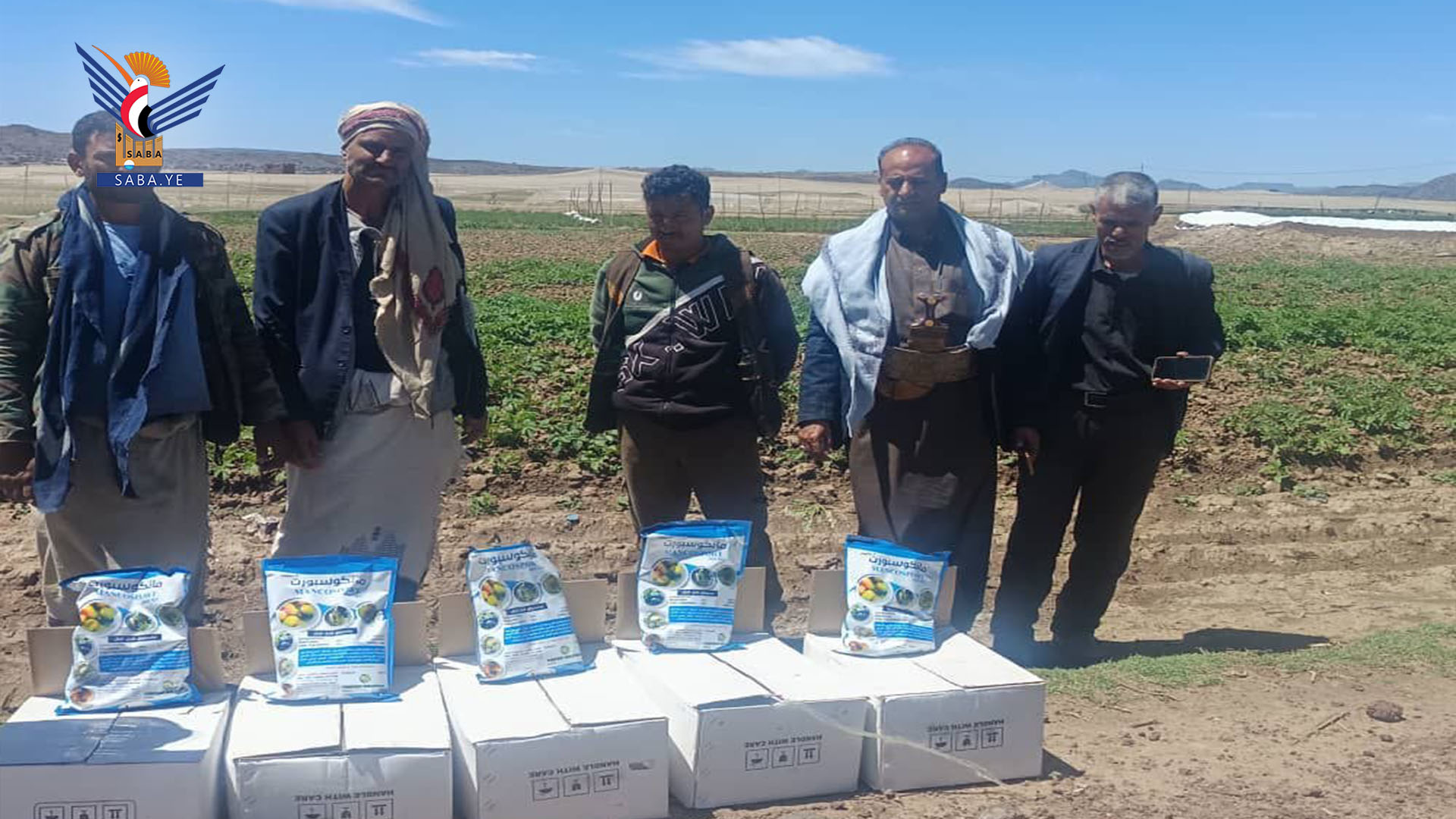 ذمار.. تدشين آلية التوزيع والإشراف على المبيدات المستخدمة من قبل مزارعي البطاطس